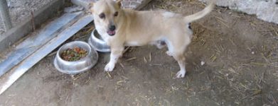 Peeter