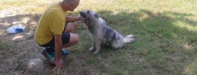 Polvere