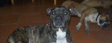 Raoul