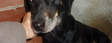 E questo sguardo…