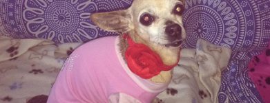 Susy