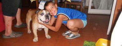 Bulldog