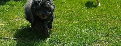 Sheila