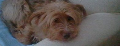 Nuno 14 anni
