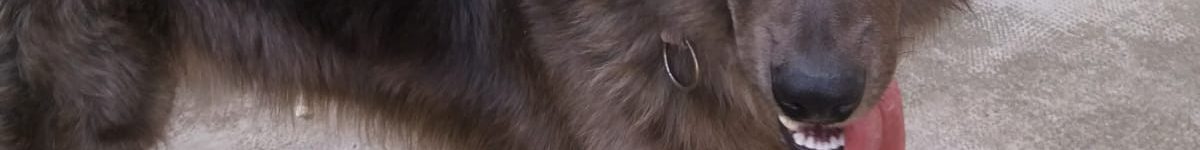 Aron