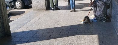 RIFLESSIONE…