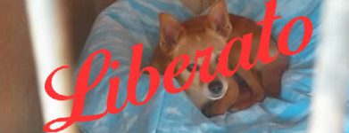 MIky LIBERO!