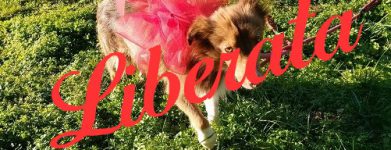 Euridice