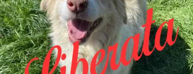 Alaska