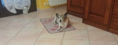 12 anni