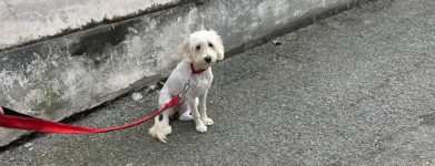 Maria 8 mesi